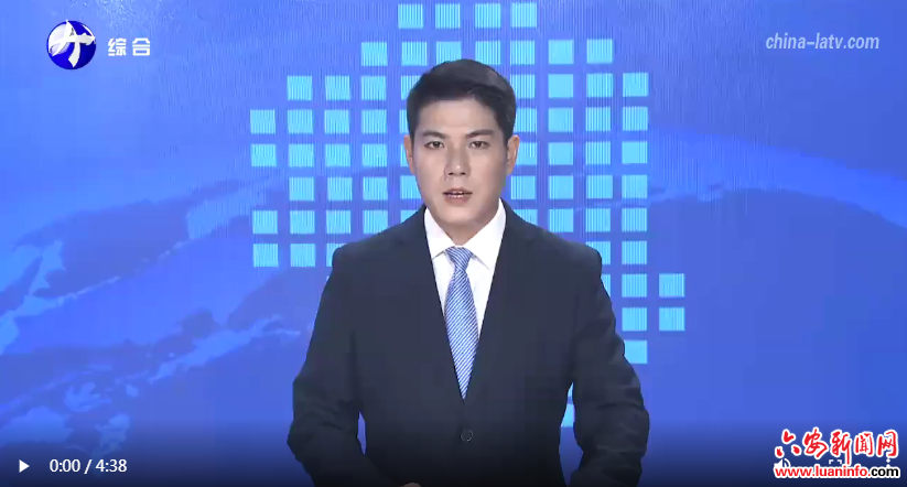 六安：实施创新驱动发展战略 科技成果转化成效显著